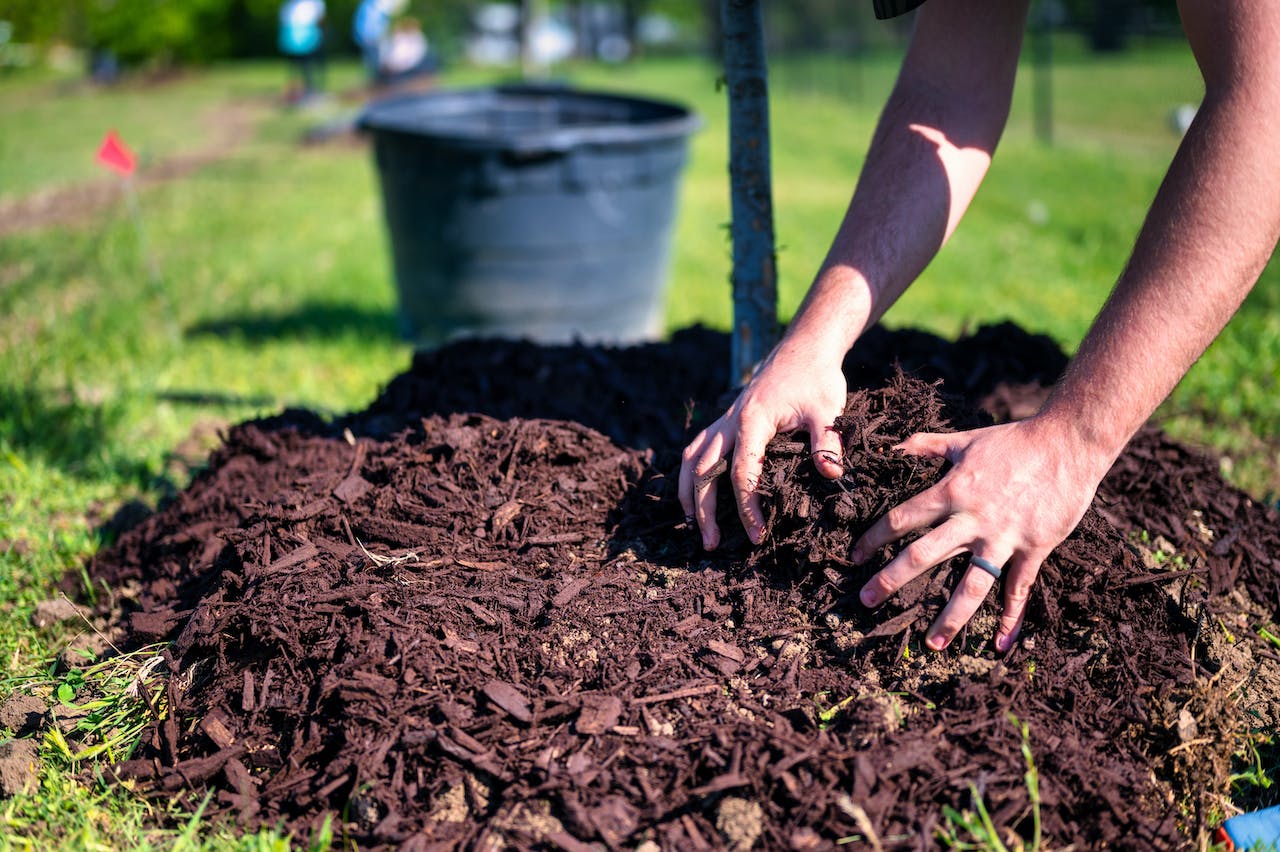 Kompostowanie Trawy: Od Skoszonego Trawnika do Złotego Nawozu