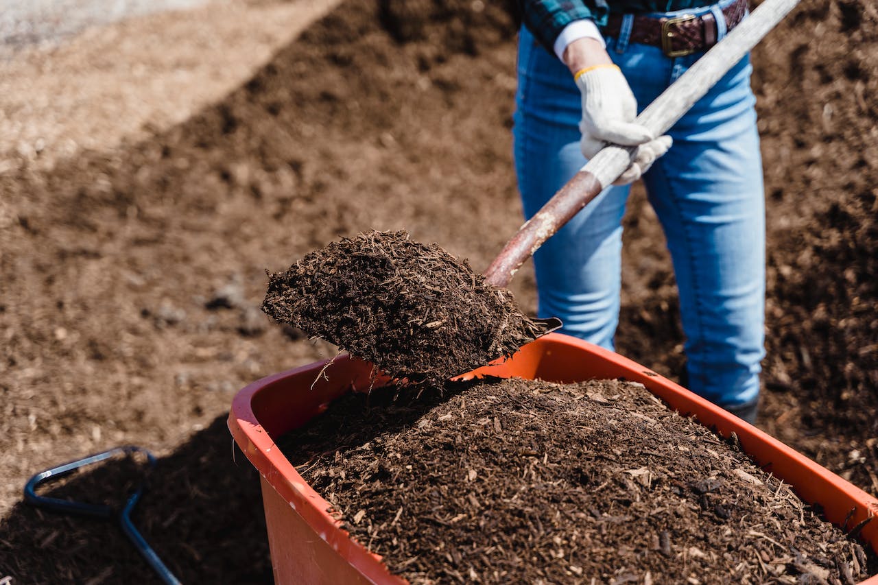 Kompostowanie w workach foliowych – ekologiczny sposób na odpady z ogrodu